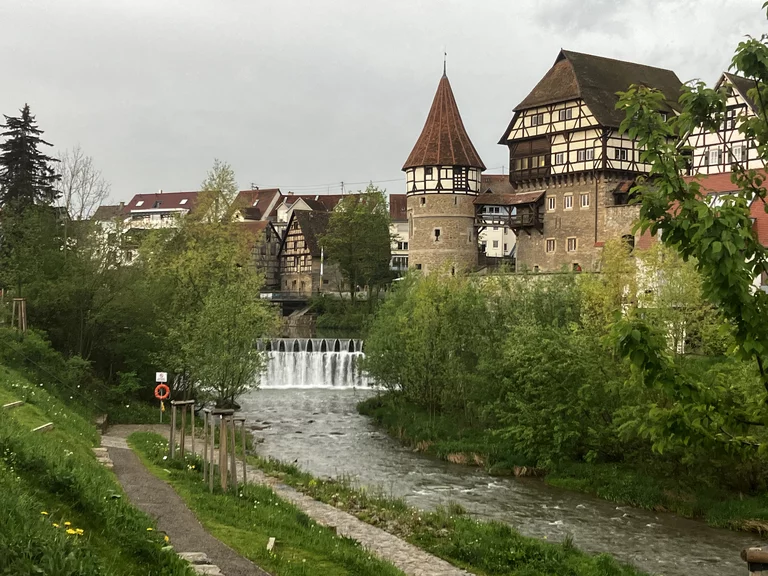 Blick auf die Eyach in Balingen während der Gartenschau 2023